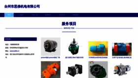 What Tzsffw.cn website looked like in 2023 (This year)