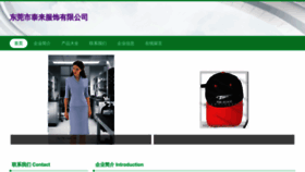 What Tblzvvt.cn website looked like in 2023 (This year)