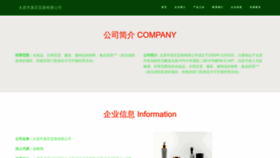 What Tydun.cn website looked like in 2023 (This year)