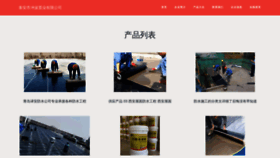 What T6myr4.cn website looked like in 2023 (This year)