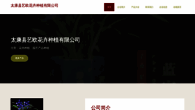 What Tkyraio.cn website looked like in 2023 (This year)