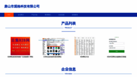 What Tsguang.cn website looked like in 2023 (This year)
