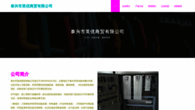 What Ttping.cn website looked like in 2023 (This year)