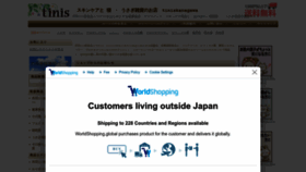 What Tiniskanagawa.net website looked like in 2023 (1 year ago)