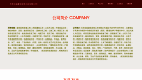 What Tiikdaz.cn website looked like in 2023 (This year)