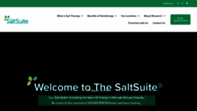 What Thesaltsuite.com website looked like in 2023 (This year)