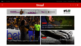 What Tnsul.com website looked like in 2023 (This year)