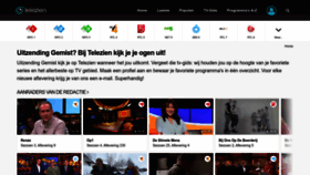 What Telezien.nl website looked like in 2023 (This year)