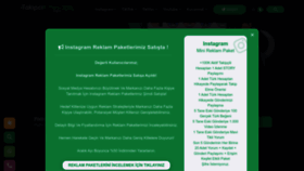 What Takipcikitlesi.com website looks like in 2024 