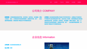 What Tianyou001.com website looks like in 2024 