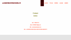 What Tingmiaotingcha.com website looks like in 2024 