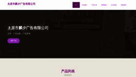 What Tylinxi.com website looks like in 2024 