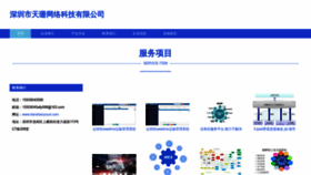 What Tianshanyouxi.com website looks like in 2024 