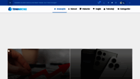 What Teknonoktasi.com website looks like in 2024 