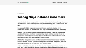What Teabag.ninja website looks like in 2024 