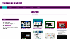 What Tjzhirui.com website looks like in 2024 