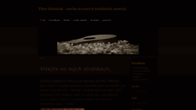 What Thaluscak-instruments.cz website looks like in 2024 