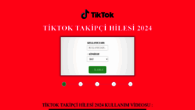 What Tiktok.hilem.net website looks like in 2024 