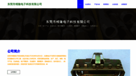 What Tejiajiaju.cn website looks like in 2024 