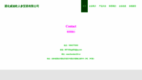 What Thevideo324.cn website looks like in 2024 