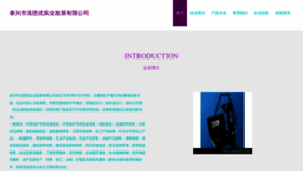What Txehvqeu.cn website looks like in 2024 