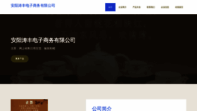 What Taofenquan11.com website looks like in 2024 