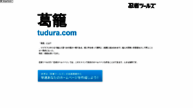 What Tudura.com website looks like in 2024 