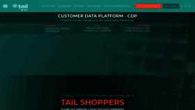 What Tail.digital website looks like in 2024 