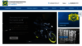 What Tyumen-battery.ru website looks like in 2024 