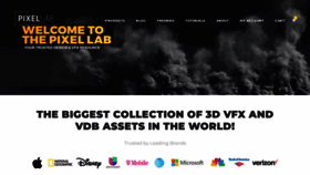 What Thepixellab.net website looks like in 2024 