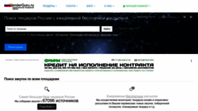 What Tenderguru.ru website looks like in 2024 