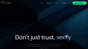 What Truebit.io website looks like in 2024 