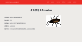 What Tianningdj.com website looks like in 2024 