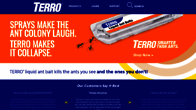 What Terro.com website looks like in 2024 