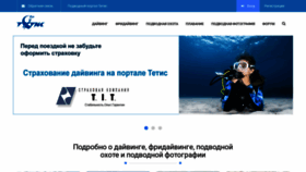 What Tetis.ru website looks like in 2024 