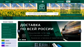 What Terramic.ru website looks like in 2024 