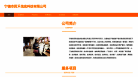 What Tianheim.com website looks like in 2024 