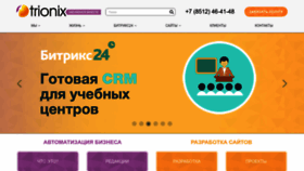 What Trionix.biz website looks like in 2024 