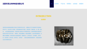 What Tianheyingyun5g.com website looks like in 2024 