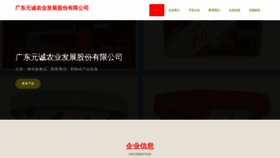 What Tianhao-tech.com website looks like in 2024 