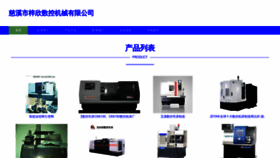 What Tianzixinxi.com website looks like in 2024 
