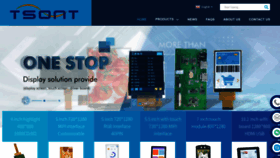 What Tsont.com website looked like in 2024 (1 year ago)