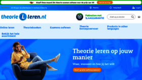 What Theorie-leren.nl website looks like in 2024 