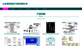 What Tianrundianzikeji.com website looks like in 2024 