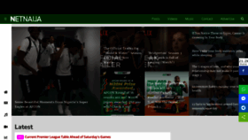 What Thenetnaija.co website looked like in 2024 (1 year ago)