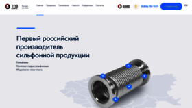 What Tpz-service.ru website looks like in 2024 