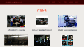 What Tianshanzhixing.com website looks like in 2024 