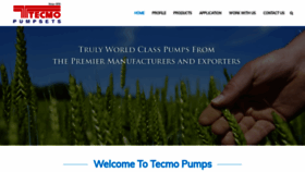 What Tecmopumps.com website looks like in 2024 