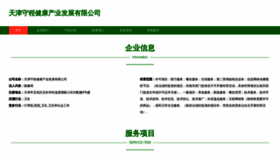 What Tjshoucheng.com website looks like in 2024 