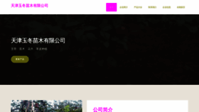 What Tjyudong.com website looks like in 2024 